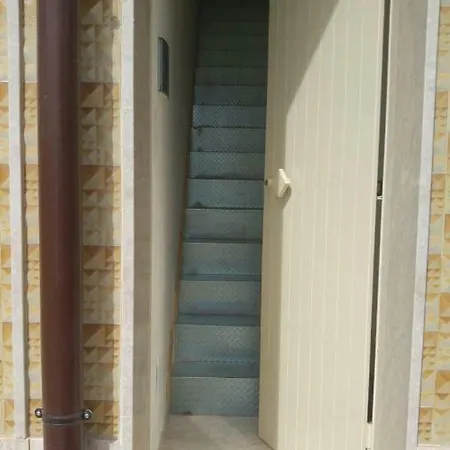 Sasha's * אבולה